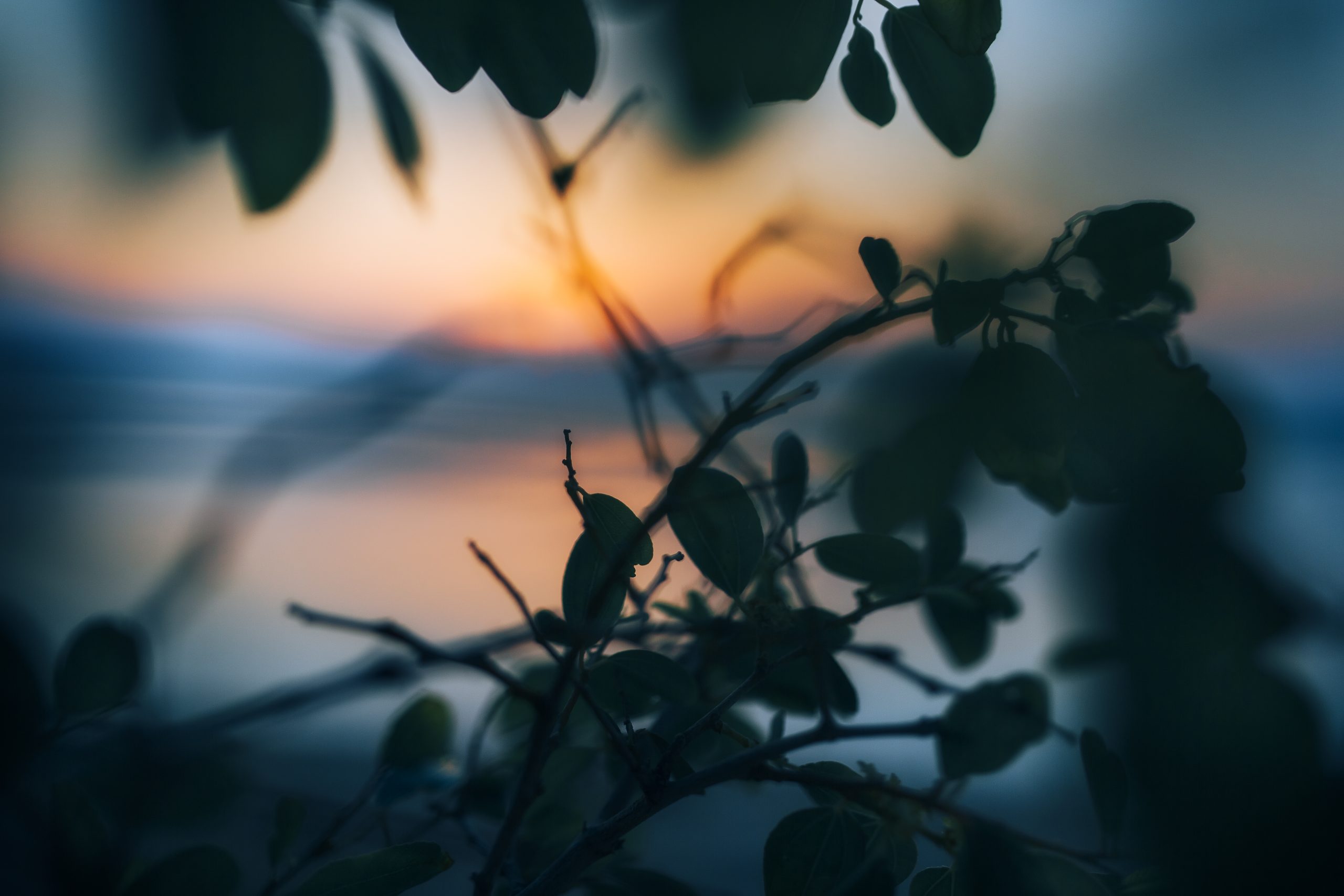 Olesia Pantchenko Fotografin