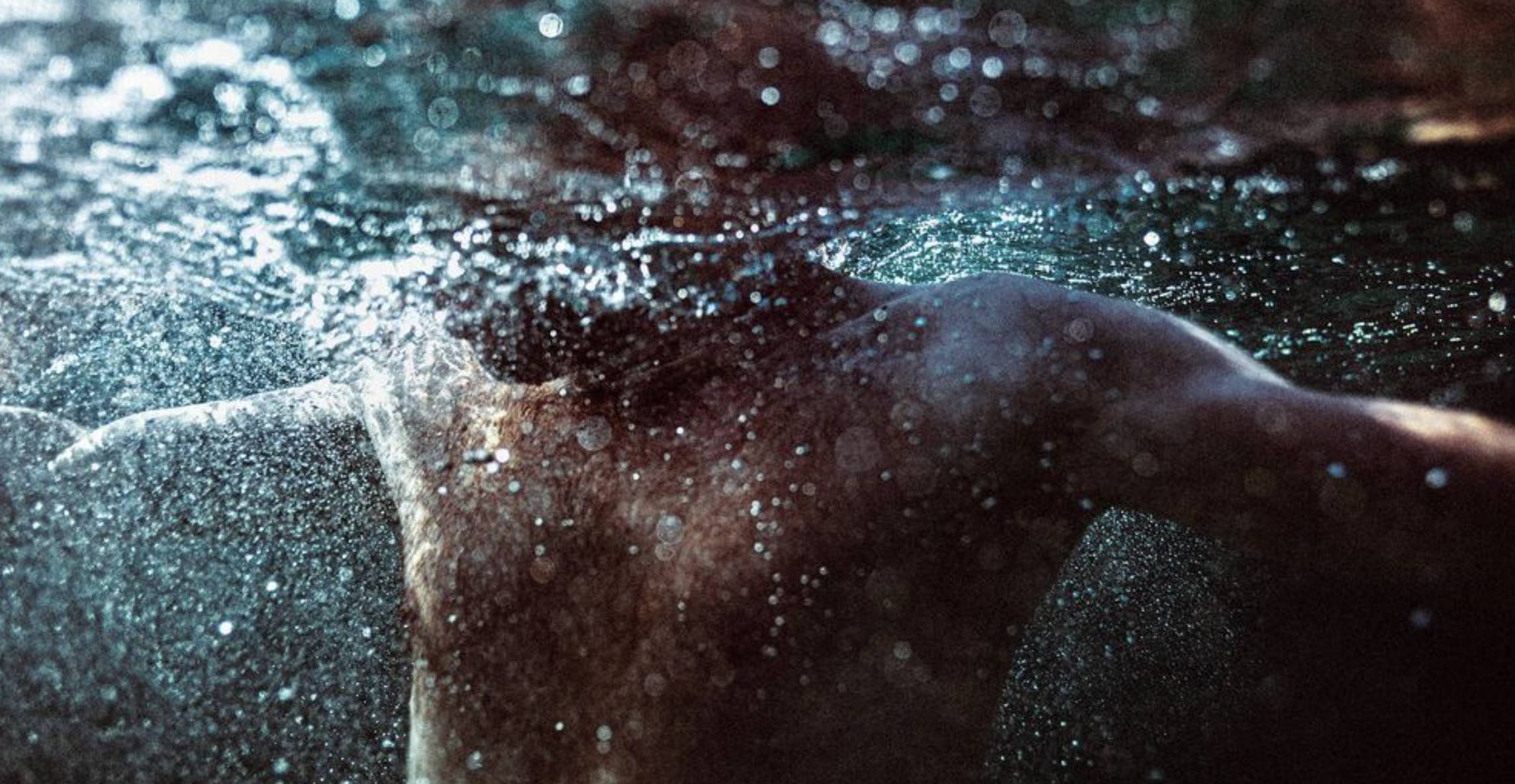 Unter Wasser Wunder